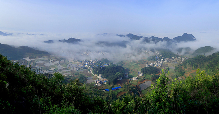 《川硐新農村》